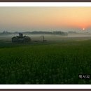 안성농장 이미지