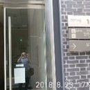 커낼워크 봄동 이미지