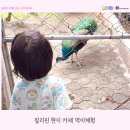 클락 필리핀 현지 카페 먹이 체험 - 클라크필드 여행 후기