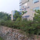 법무사김응상사무소