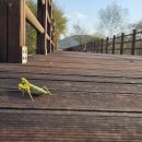 굿모닝 펜션 이미지