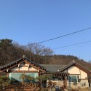 강화도 내돈내산 맛집 화덕피자 섬1088