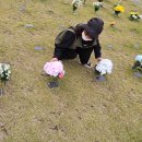 독감 코로나 맞구 윤진이보러 딸과사우랑 빵집들려차한잔 이미지