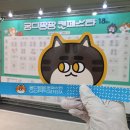 18회 궁디팡팡캣페스타 후기
