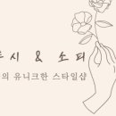 소피스토어