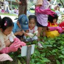 남성초등학교 이미지