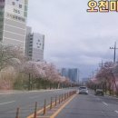 내오천마을회관 네이버블로그