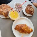 (주)타스코 | 런던에서 러프버러 가던날 판크라스 역(St Pancras international) 기차이용 후기