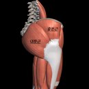 3.6.9 피트니스 이미지
