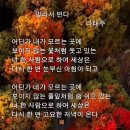 멀리서 빈다 / 詩 - 나태주 이미지