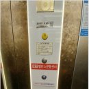 레푸스n바바 이미지