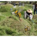 바른프렌즈 이미지