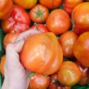 주식회사 팜2팜 이미지