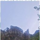 꽃피는민박 이미지