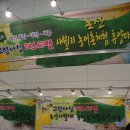 사월1리마을 이미지