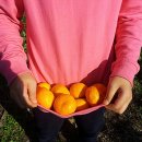 민상농장 이미지