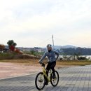 미루나무풍경 | JJ님과 함께 강천섬 라이딩. 미루나무 가을 단풍. 여주 출렁다리 야경.