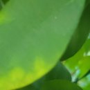 류내과의원 이미지