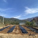 햇살가득밀양전원주택 이미지