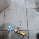 달중이네 펫호텔 이미지