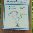 제주 올레길 8코스 이미지