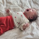 선산추어탕 | 3월 첫째 주 주간일기