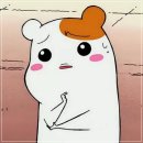 무궁 | 무궁핏 다이어트 효과 솔직 후기