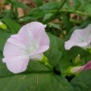 살구골공원 이미지