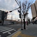 이준열대어 이미지