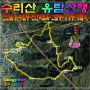 송전마을 | [20260312] 수리산 유람산행(수암마을전시관-안산객사-안산읍성둘레길-수암봉-안산골재-큰재-변산바람꽃...