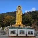 11/1(일) 보은 속리산 문장대 100명산 단풍산행 공지 이미지