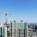 포레스트31 이미지