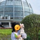 무안 회산백련지 오토캠핑장/ 백련카페 후기(23.05)