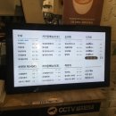 송학 | 창원 목향장미 명소 | 진해 카페 송학커피 오픈런 후기