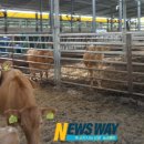 몽길농장 이미지