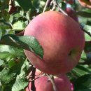 미루농장 이미지