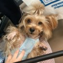 베리떼 동물병원 이미지