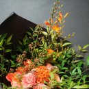 농협하나로마트 용호점 이미지