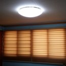 로벨리타운 이미지