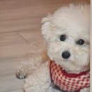 스테이 별채 이미지