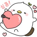 금호광택 이미지