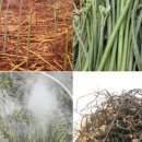 봉자네1번지 이미지