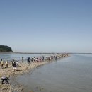 연명어촌체험휴양마을 이미지