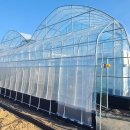 하우스농장 이미지