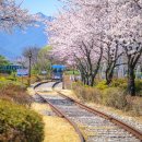 섬진강순환1 이미지