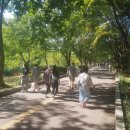 한솔초등학교 이미지