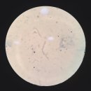 한마음 동물의료센터 이미지