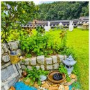 스테이 연 이미지