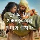 암미