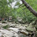 김밥소풍가는날 이미지